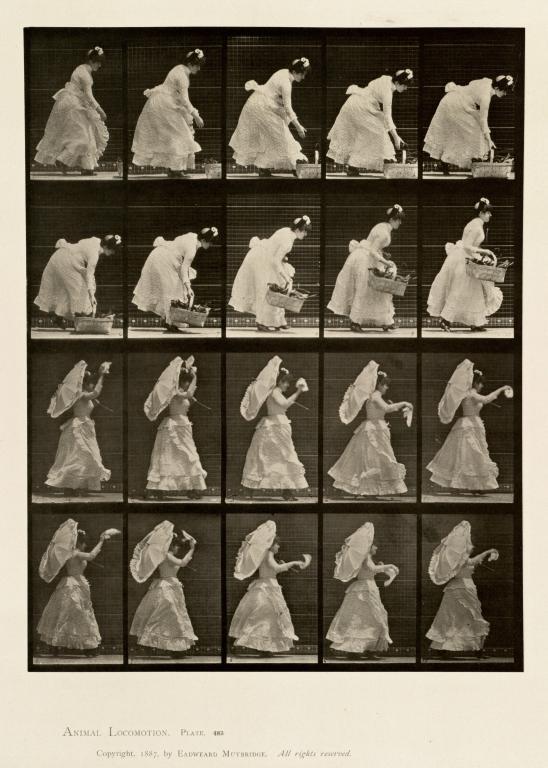 Eadweard Muybridge, A) Heben des Korbes, B) Rennen, Taschentuch hebend. Animal locomotion. Platte 483, Philadelphia: University of Pennsylvania 1887, Boston, Public Library
