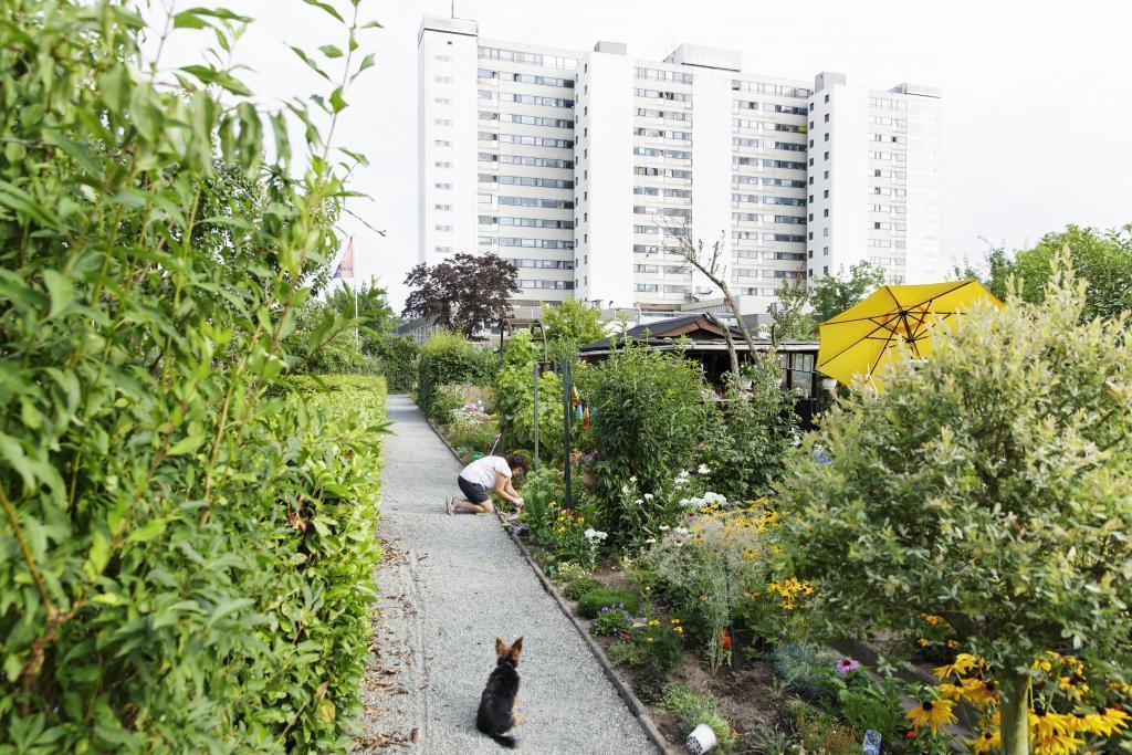Gärtnerin in einem Frankfurter Kleingarten © Stefanie Kösling Gärtnerin in einem Frankfurter Kleingarten © Stefanie Kösling