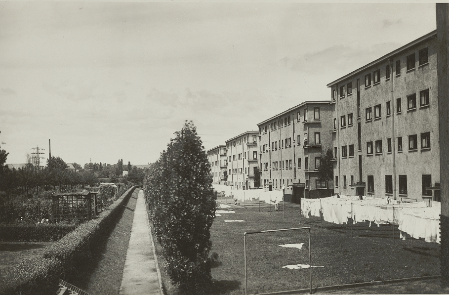 Siedlungsgrün (6)