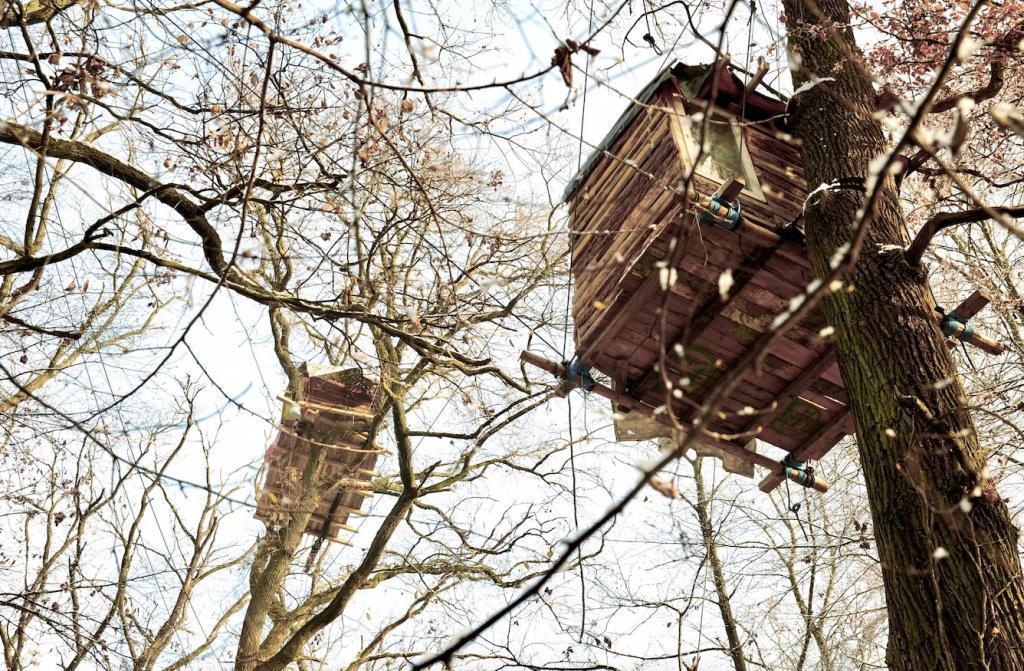 Rechte der Natur © HMF, Foto: Meike Fischer Rechte der Natur © HMF, Foto: Meike Fischer